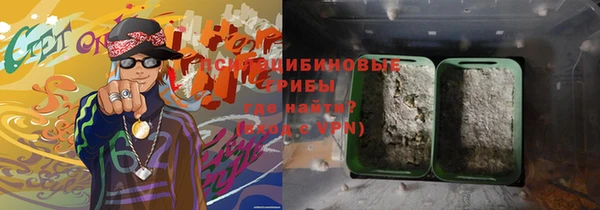 индика Алексеевка