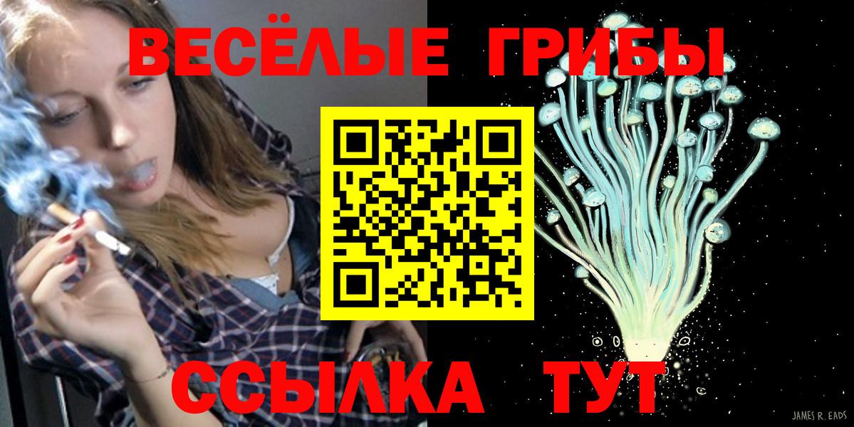 Псилоцибиновые грибы Psilocybe Люберцы