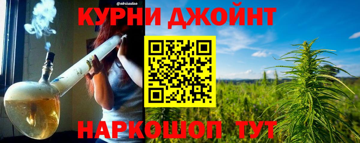 Бошки Шишки планчик  Конопля семена  Бошки марихуана Bruce Banner  Шишки марихуана тримм  Люберцы  Вход с VPN 